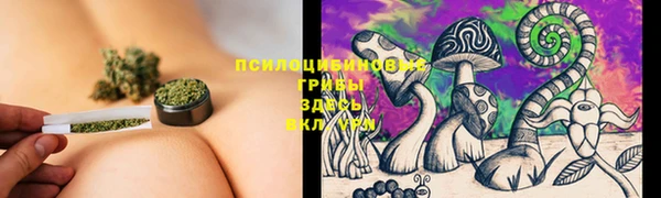 винт Алексеевка