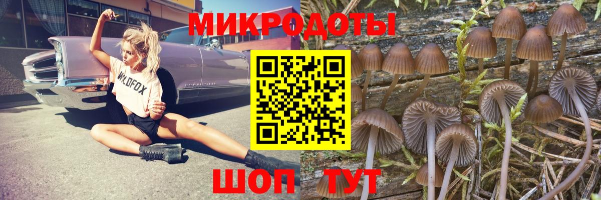 Псилоцибиновые грибы MAGIC MUSHROOMS Сочи