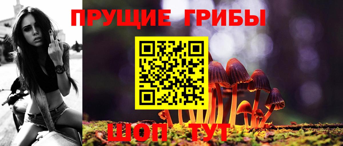 Галлюциногенные грибы Psilocybe  Галлюциногенные грибы MAGIC MUSHROOMS  Сочи  Вход с VPN 